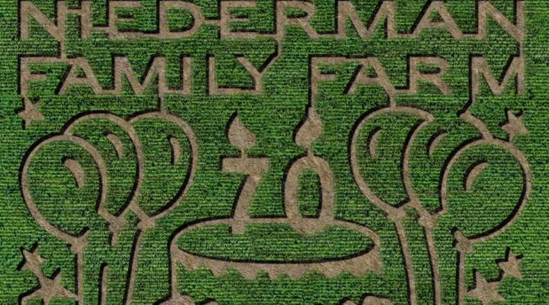 The Niederman Family Farm is celebrating 70 years with fall fun including a corn maze, pumpkin picking and more. SOURCE: NIEDERMAN FAMILY FARM FACEBOOK
