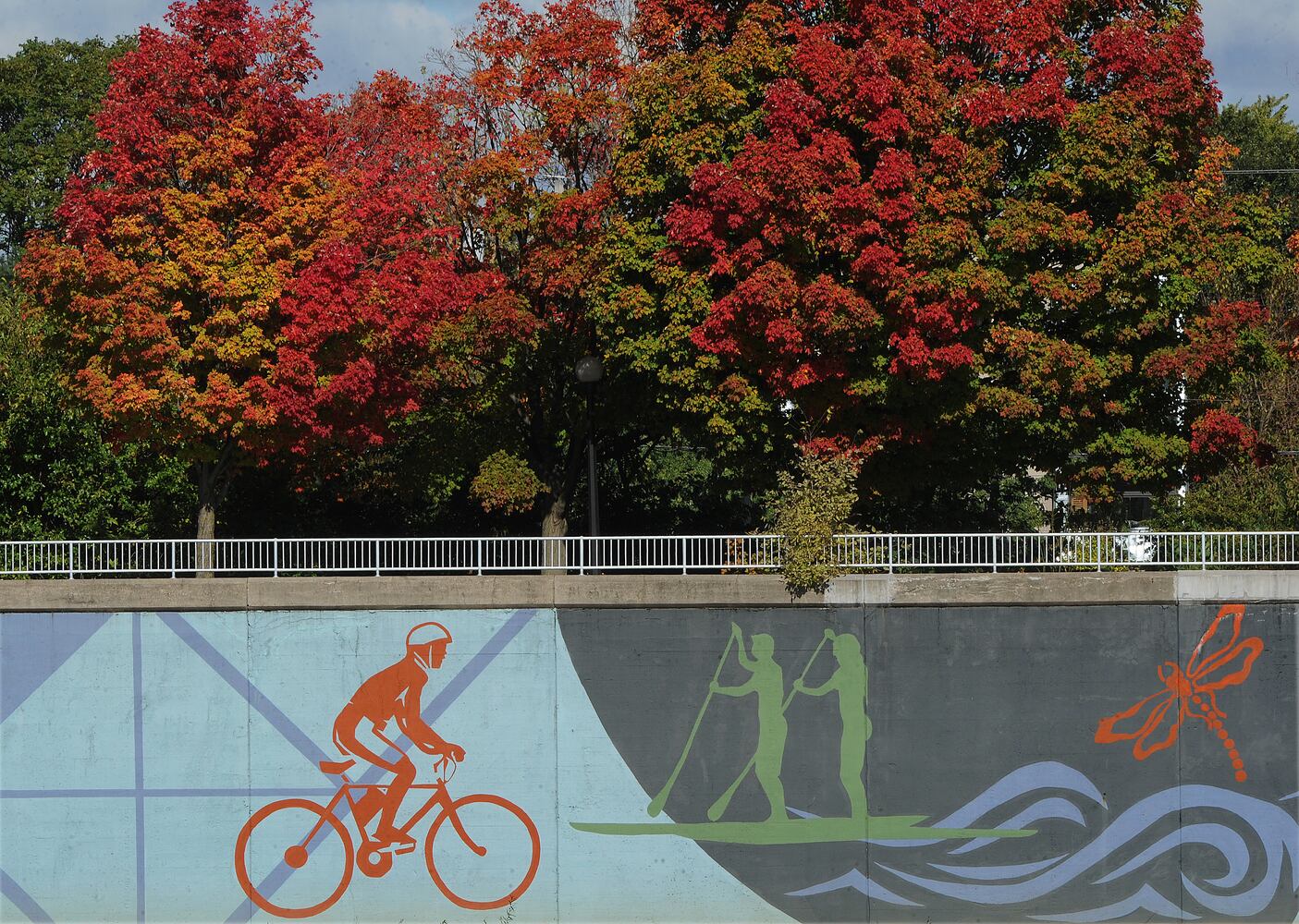 FALL COLORS
