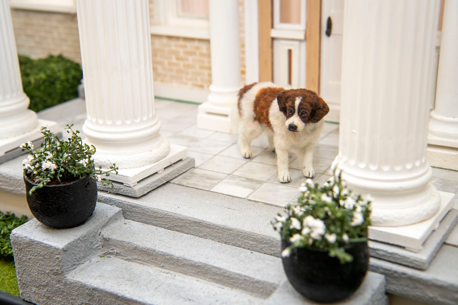 A model of Scipio, the dog of Orville Wright, stands on the front porch of a replica of Hawthorn Hill, the Wright brothers’ home. Contributed by Wright State University