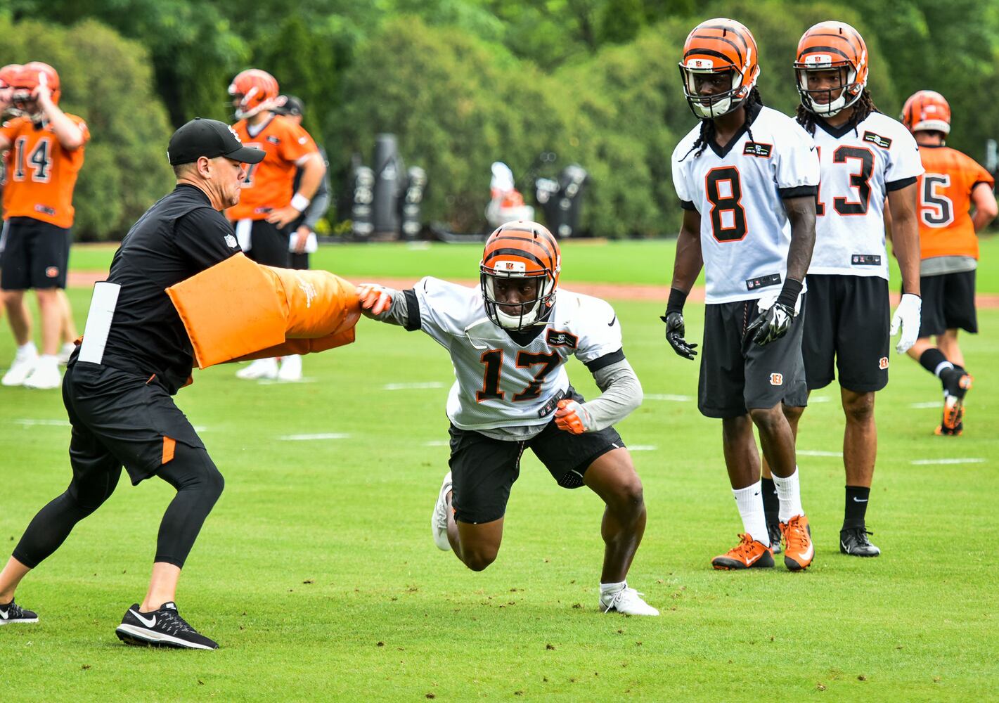 Cincinnati Bengals OTA