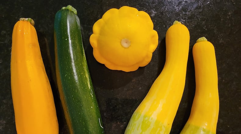 Summer squash and zucchini were once easy to tell apart: Squash was yellow and zucchini was green. However, yellow zucchini has recently appeared at MOON Co-op Grocery and Oxford’s Farmers Market. CONTRIBUTED