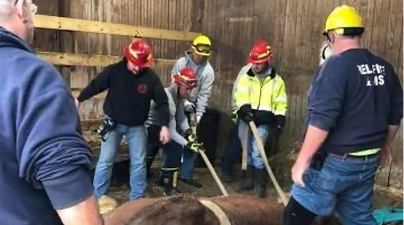 Members of the Reily Twp. Fire Dept. Large Animal Rescue Team attempt to lift a horse who got stuck in his stall and could not get up. Members of the team pictured are Dennis Conrad, Chad Owens, Sean Levenston, Clint Mayor and Roy Wesselman. CONTRIBUTED