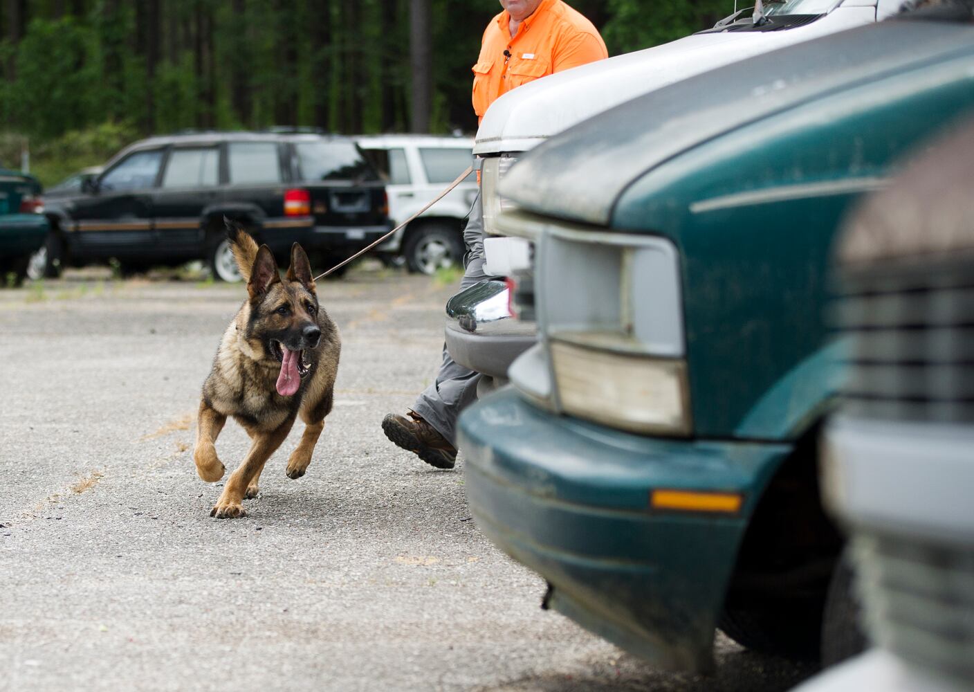 News hounds (7/9/15)