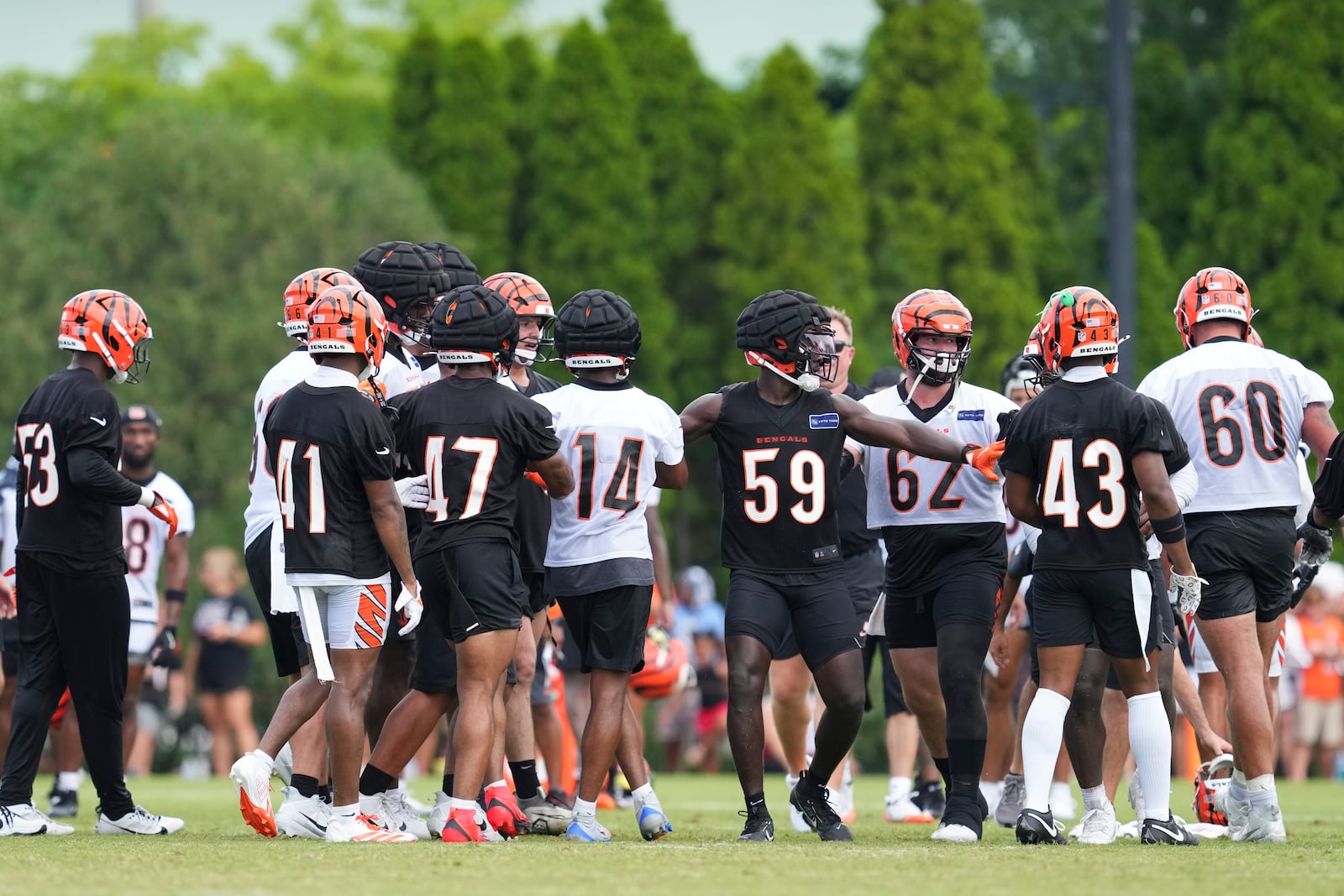 Cincinnati Bengals players scuffle during practice at the team's NFL football training camp, Thursday, July 24, 2025, in Cincinnati. (AP Photo/Jeff Dean)