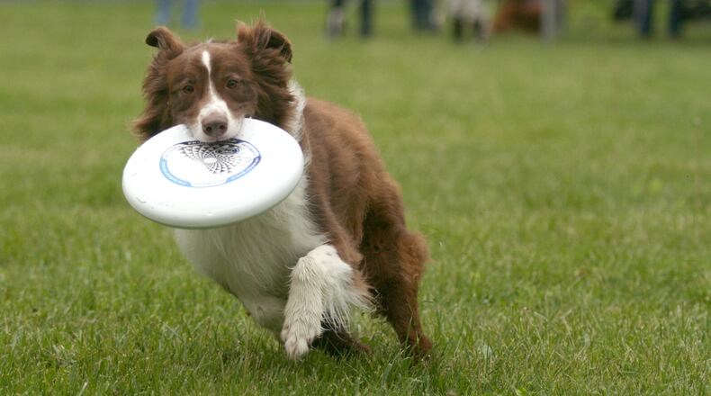 The dog park at Schafer’s Run Park in Fairfield Twp. is temporarily closed for renovations.