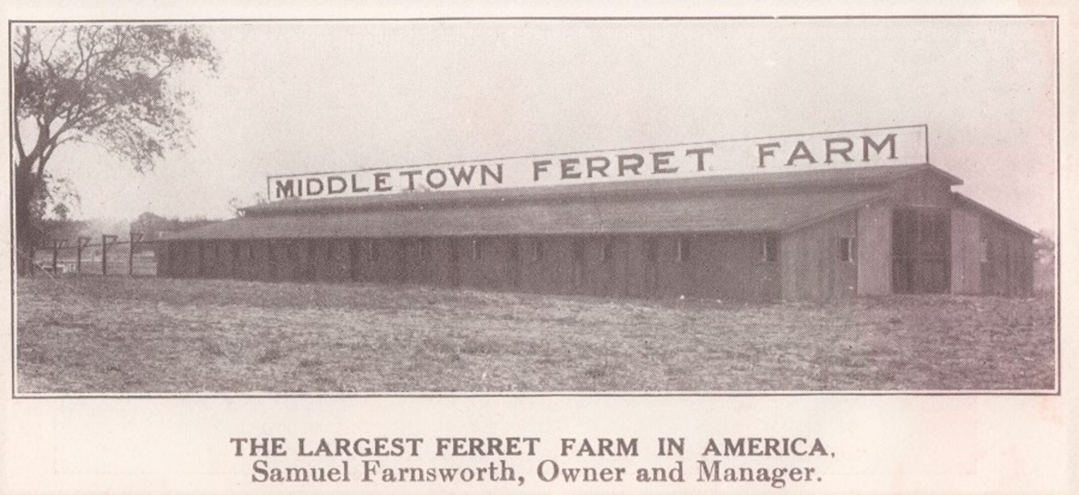 middletown