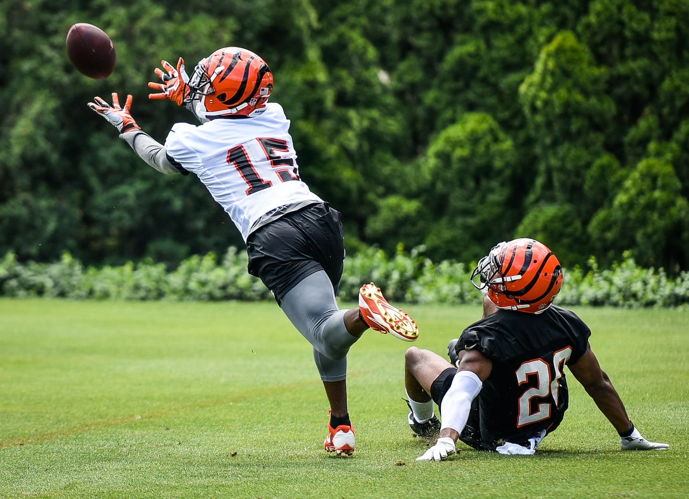 Cincinnati Bengals OTA