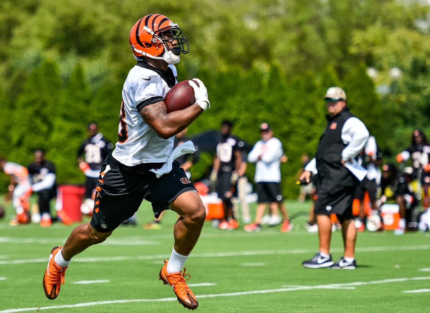 Bengals Training Camp Day 1