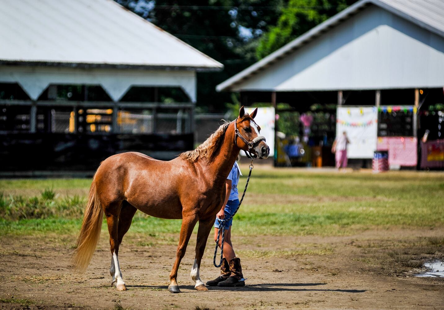 Broken Horn Rodeo closes out the night Wednesday at the Butler County Fair