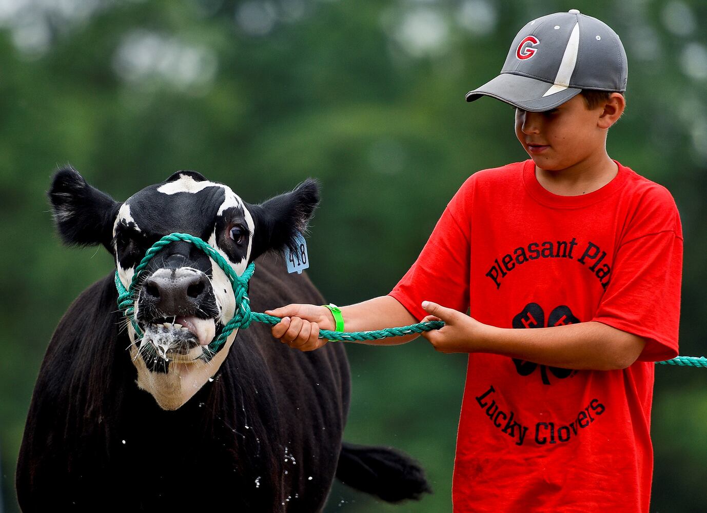 Warren County Fair 2015 Day 1