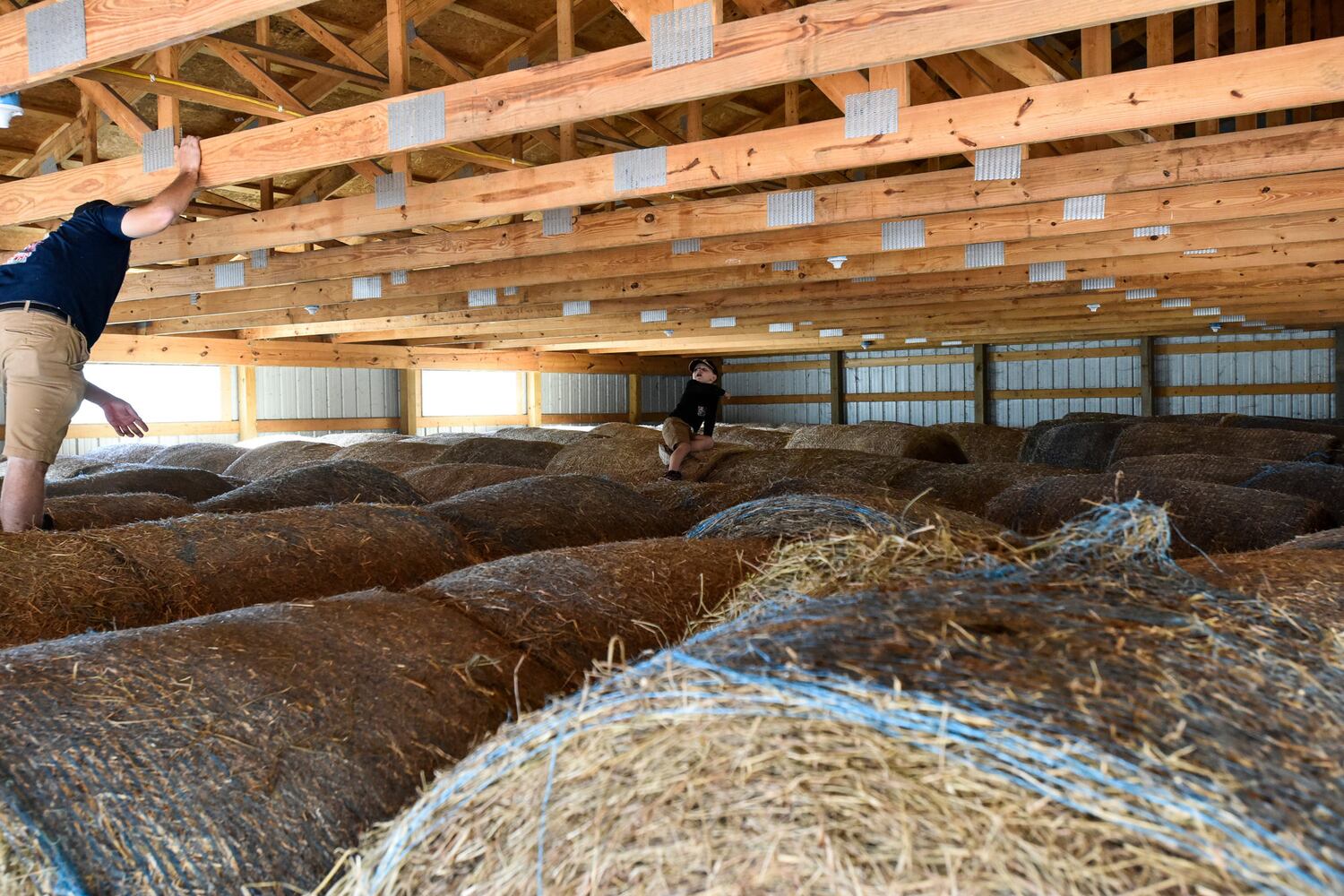 Jackson Family Farm offers visitors a chance to learn about farm life
