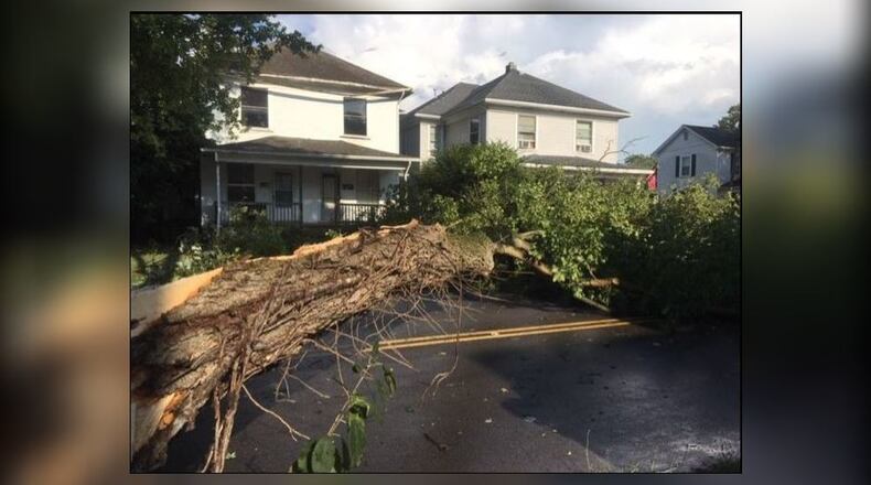 This tree, downed in Thursday afternoon's storms, fell across South Miami Avenue in Sidney. No one was injured. (Monica Castro/Staff)