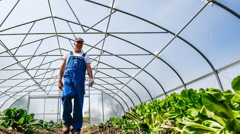Steve Gay walks through the greenhouse on the lot of the Hamilton Urban Gardens program, know as HUGS, on S. Front Street Tuesday, April 16 in Hamilton. The HUGS program has several things going on to help build healthier lifestyles and eating habits in the city, especially in the poorer areas. NICK GRAHAM/STAFF
