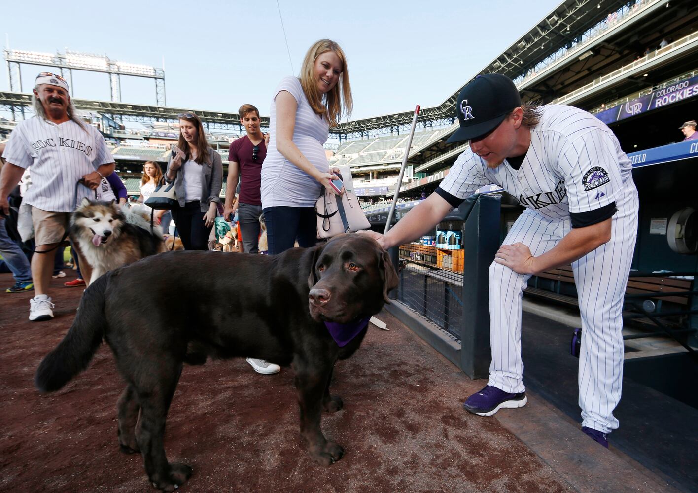 News hounds (8/20/15)