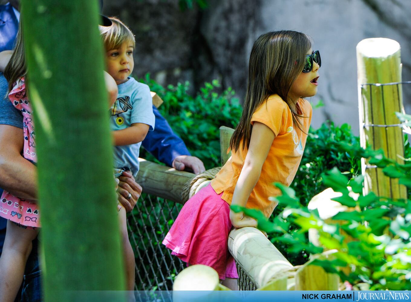 Gorilla Exhibit re-opens