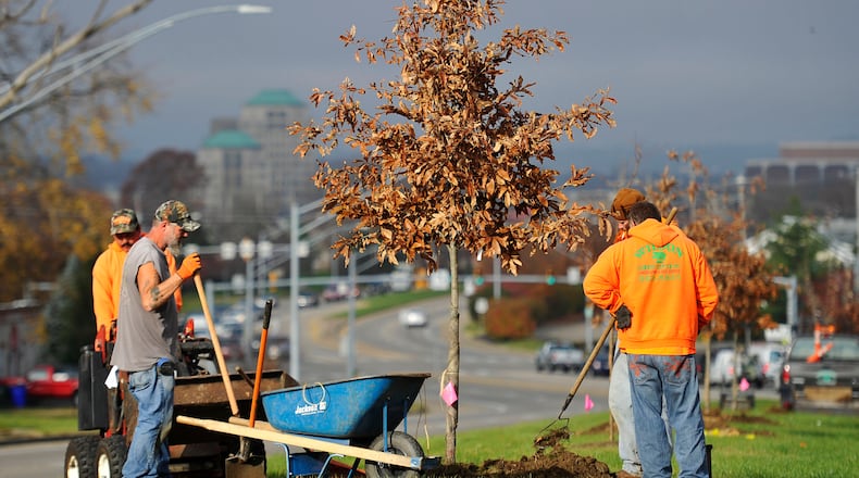 A crew with Wilson Garden Center Inc. plants trees last November along the median of Ohio 129 in Hamilton. They planted trees in several areas as part of the city’s ongoing efforts to beautify entrances to the city. NICK GRAHAM/STAFF