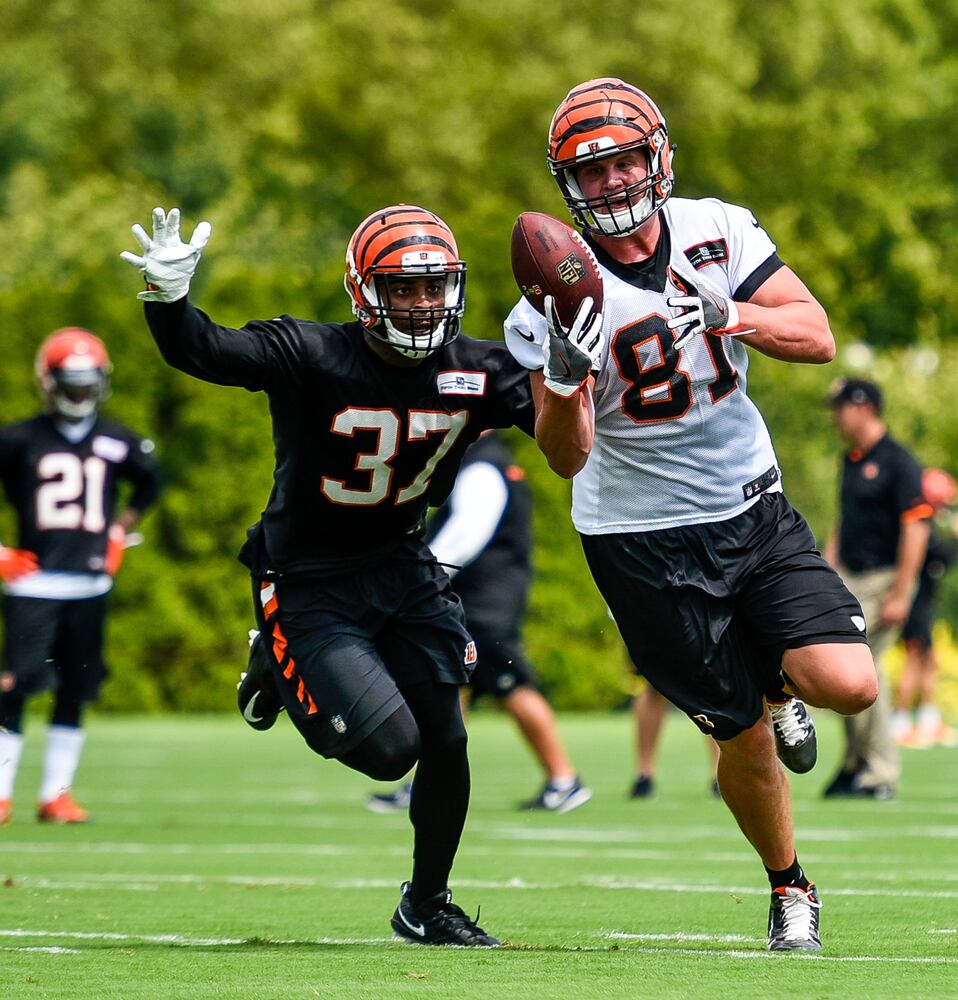 Bengals Training Camp Day 1