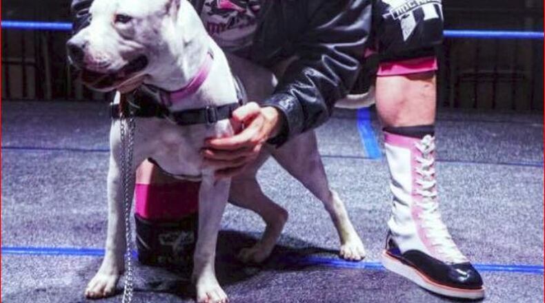 As part of the “Clotheslines, Canines and Felines” effort, FGW wrestlers have posed with animals from the Animal Adoption Foundation no-kill shelter for a calendar whose proceeds go to the shelter. PROVIDED
