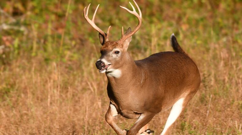 The two-day special youth hunting season concluded with 9,515 deer harvested on Saturday and Sunday, according to the Ohio Department of Natural Resources Division of Wildlife.