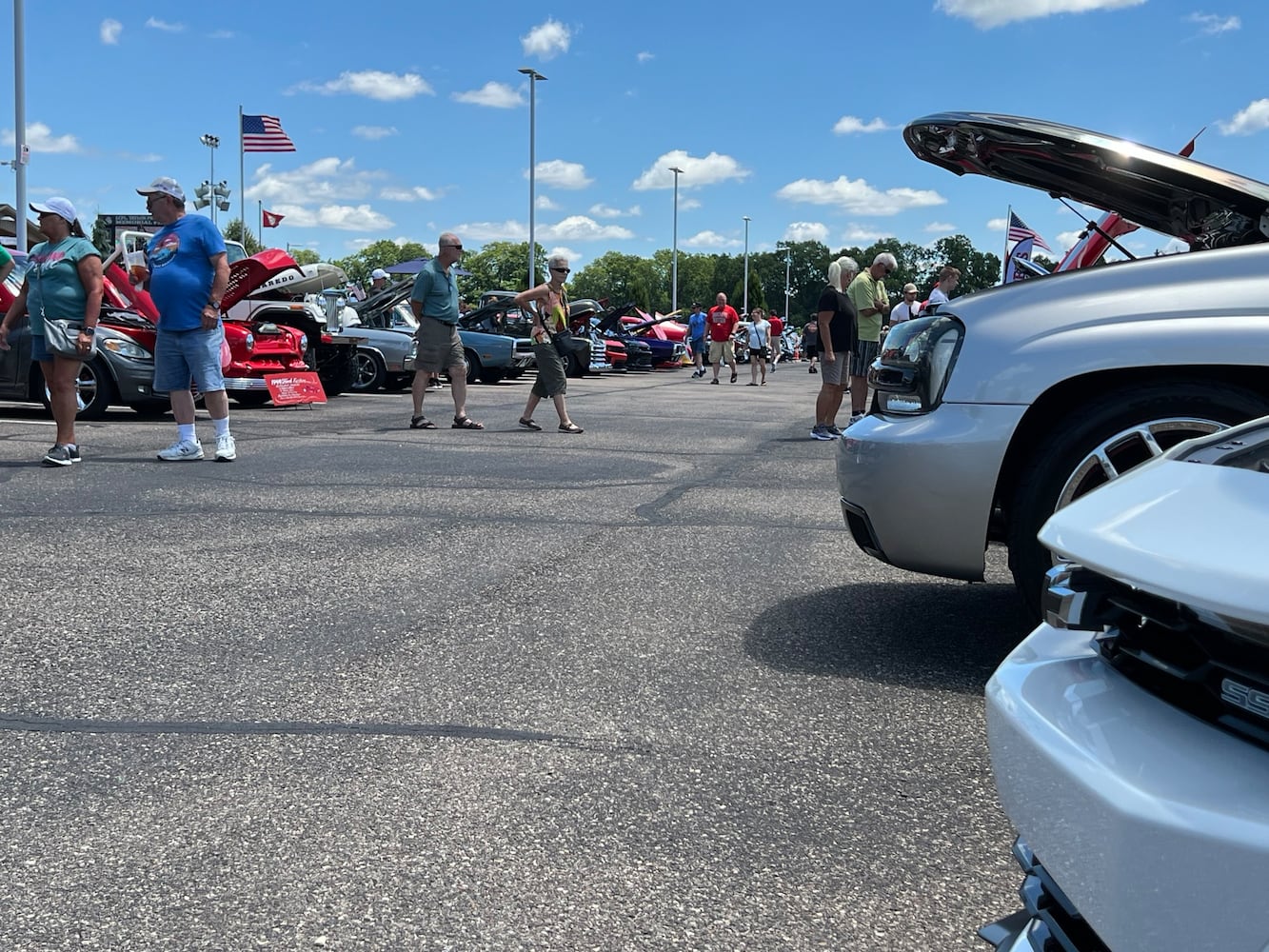 Cruise in