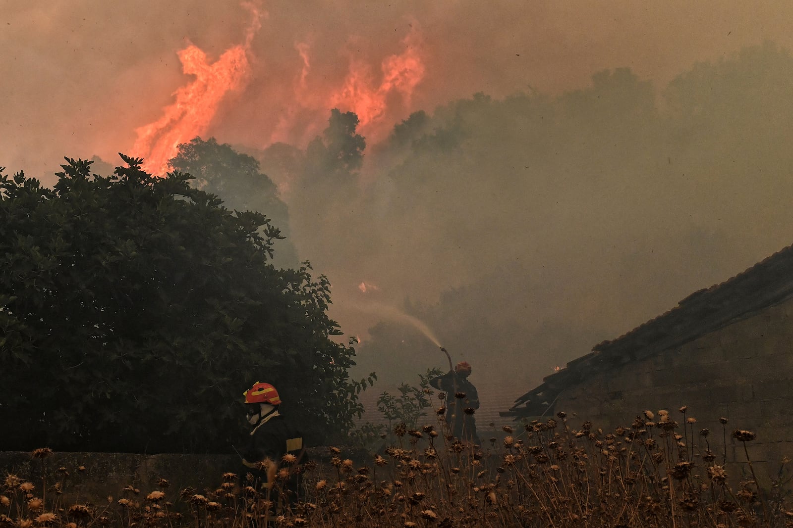 Firefighters try to extinguish a major forest fire in the village of Karteri, near Corinth, west of Athens, Greece, on Tuesday, July 22, 2025. (AP Photo/Vasilis Psomas)