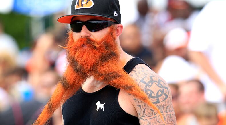 Bengals fan Garey Faulkner watches a 2013 Bengals training camp in downtown Cincinnati. STAFF FILE PHOTO