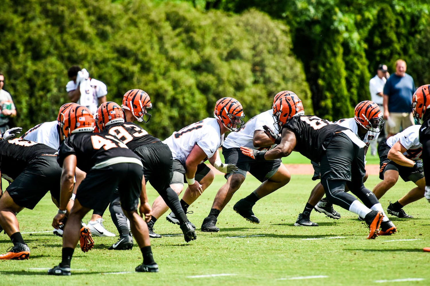 Cincinnati Bengals OTA