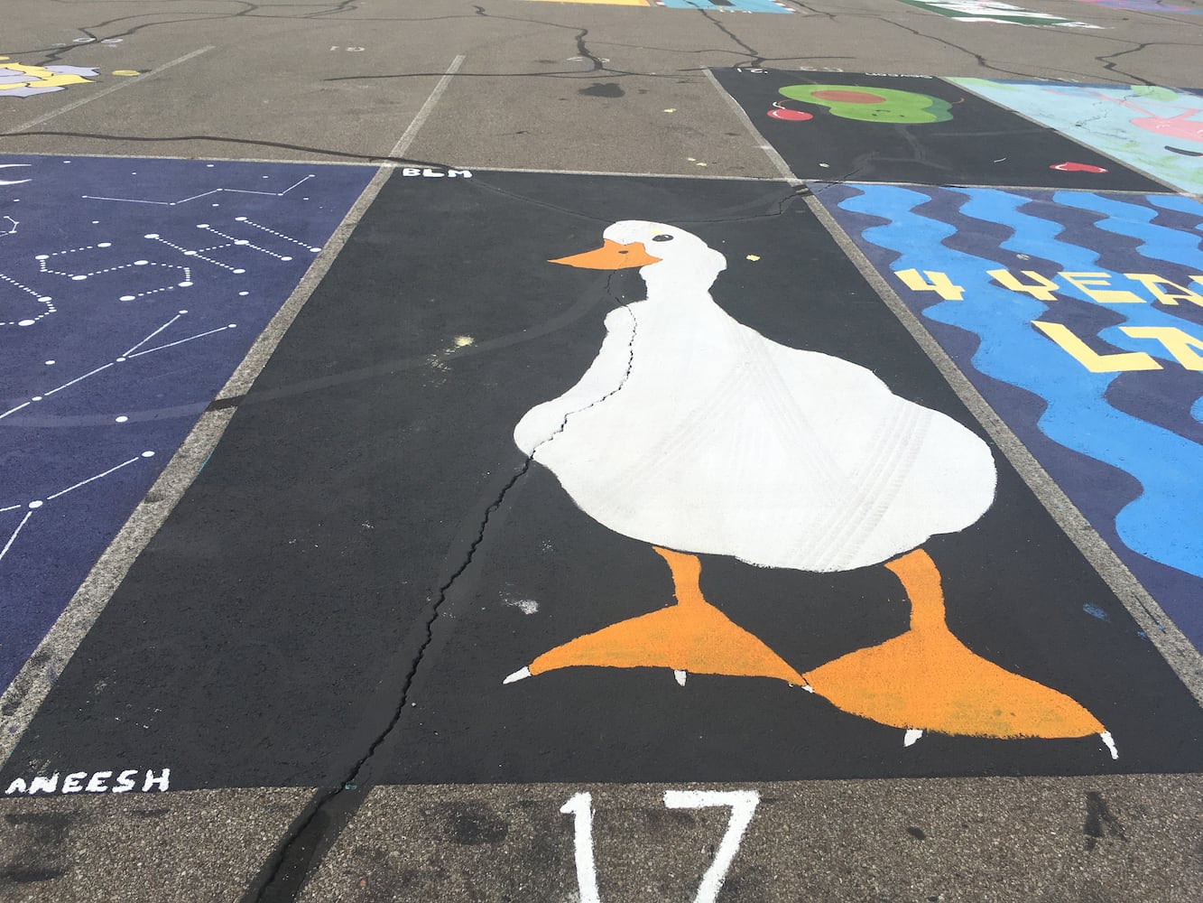 Lakota West High School parking lot spaces