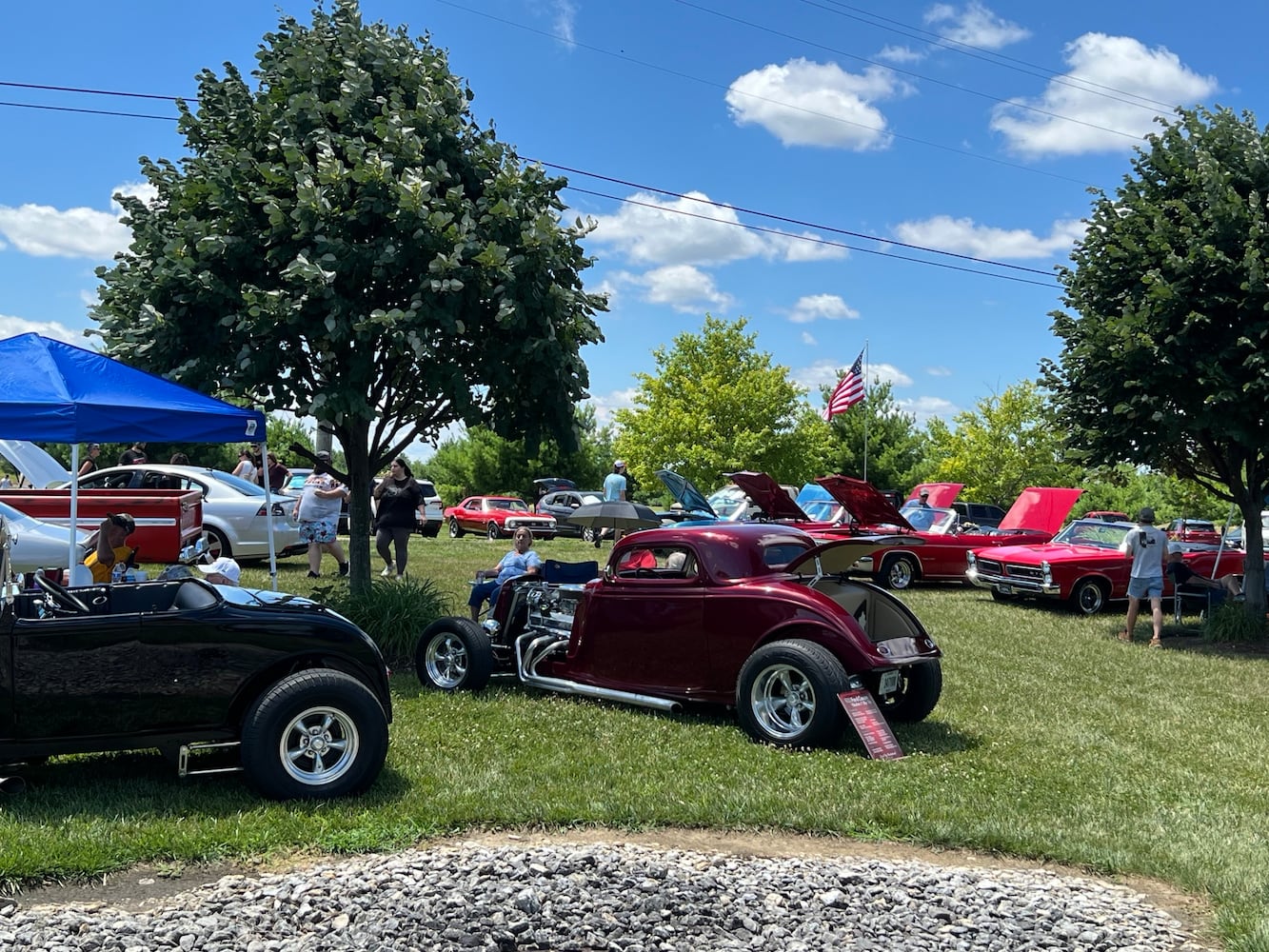 Cruise in