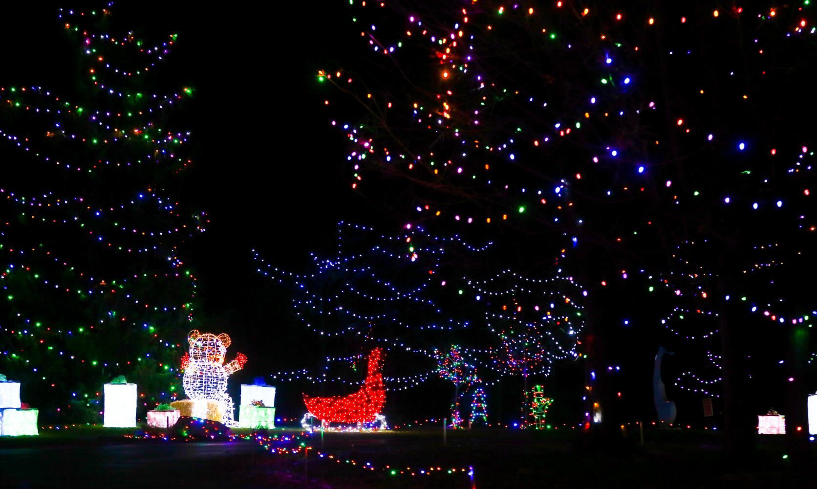 111920 Journey Borealis at Pyramid Hill drive-thru holiday light display