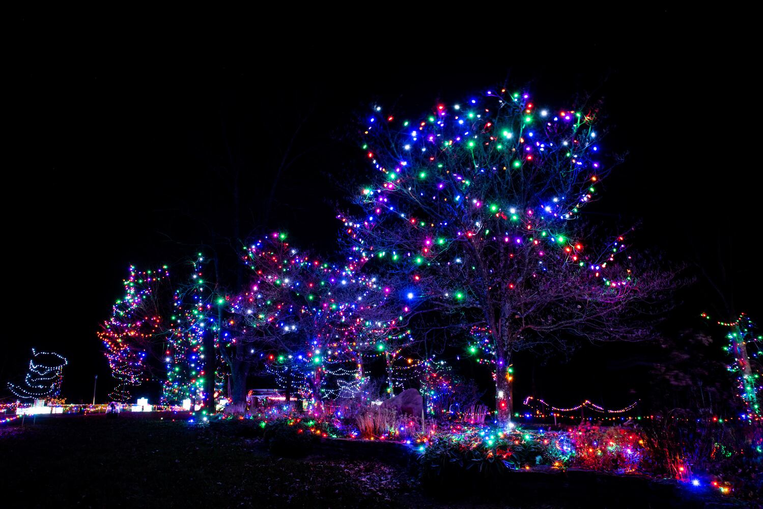 111920 Journey Borealis at Pyramid Hill drive-thru holiday light display