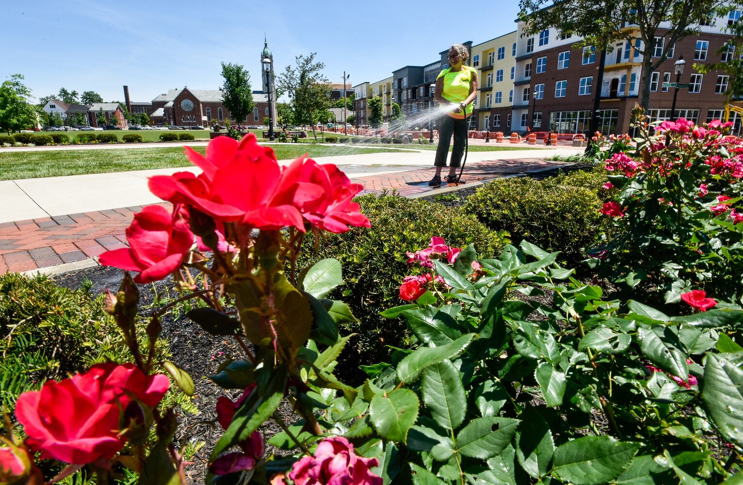 Flower photos to make you think about warmer weather around the corner