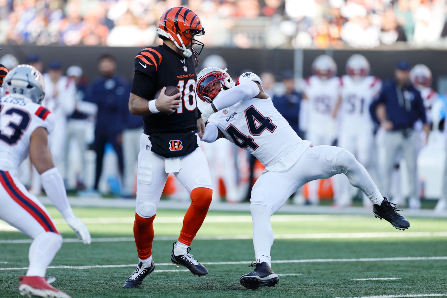 Patriots Bengals Football