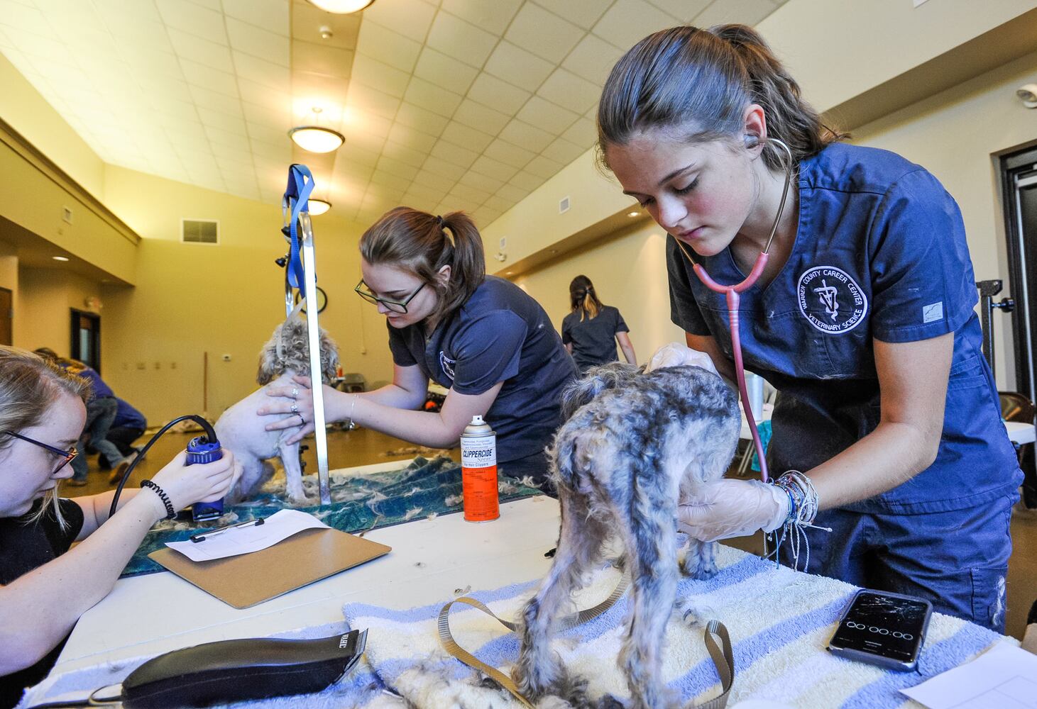 Humane Society of Warren County caring for 111 rescued poodles