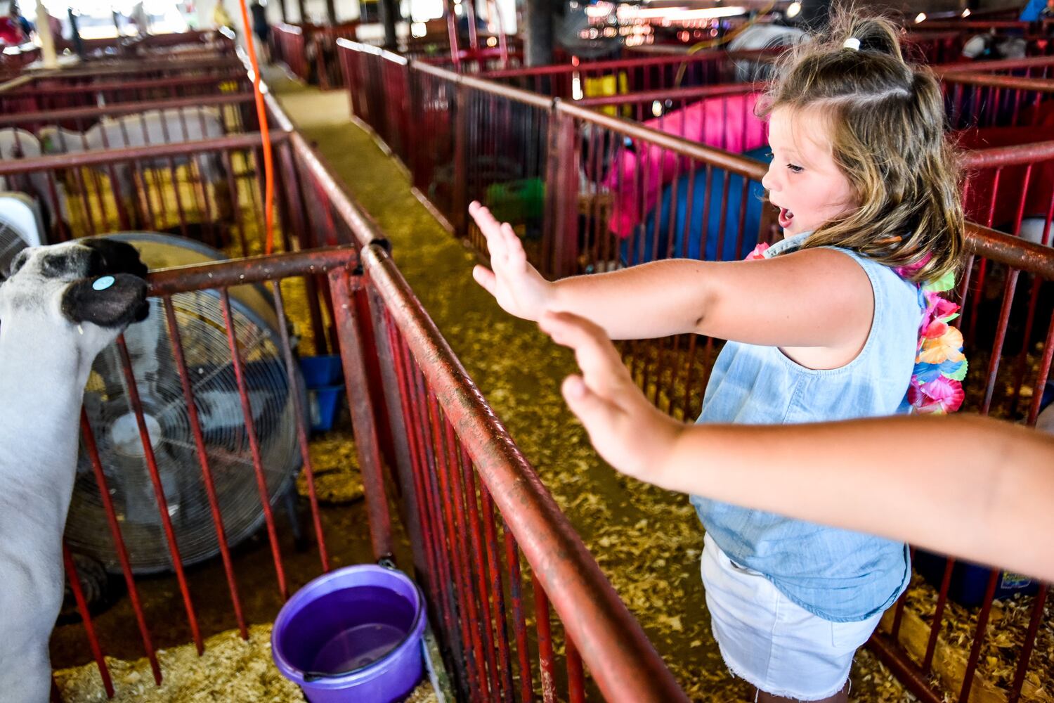 Broken Horn Rodeo closes out the night Wednesday at the Butler County Fair