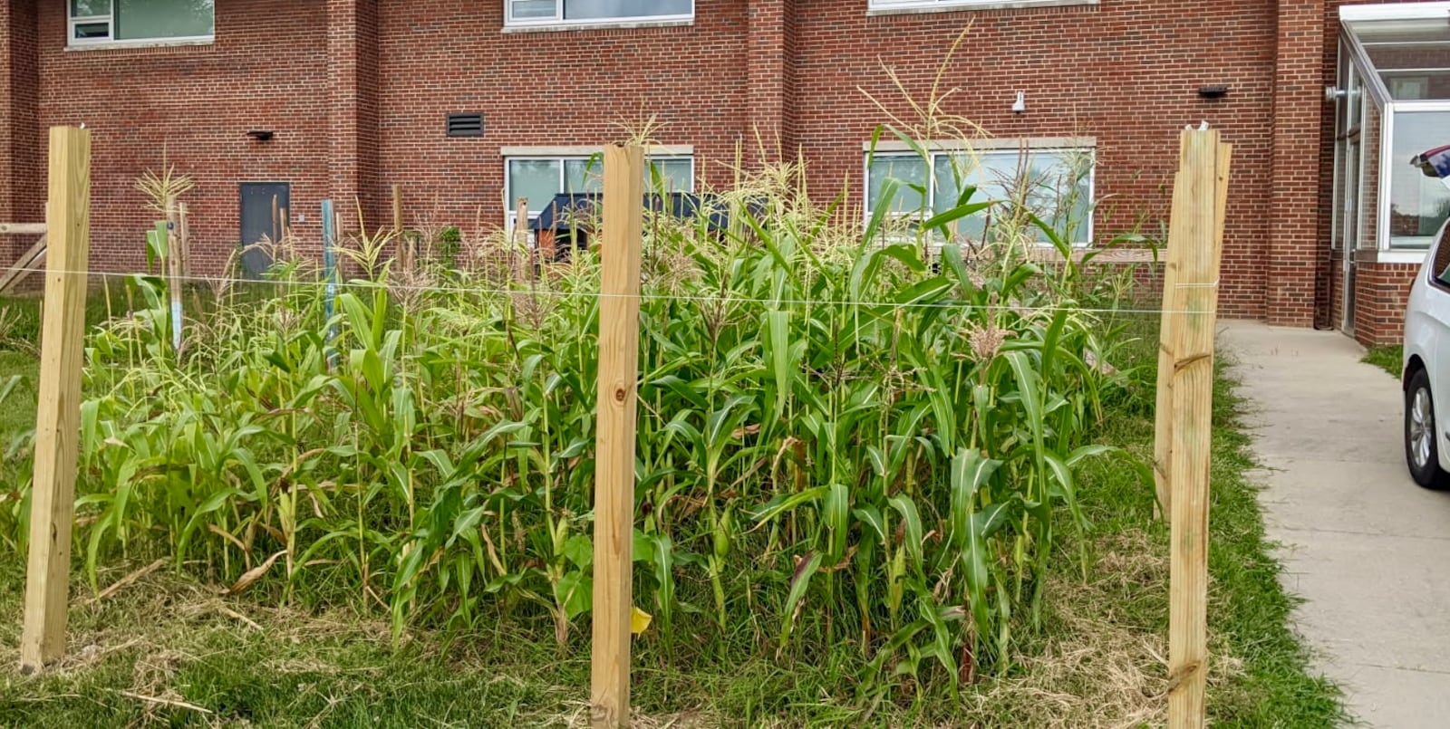 Some literal “seed money” will help an experimental learning garden grow at Middletown High School after an agricultural science teacher recently landed a $3,500 grant. A two-year-old garden, which is grown and harvested by students just outside teacher Mark Miller’s classroom, will be bigger and brighter come spring and fall, said the teacher. (Contributed)