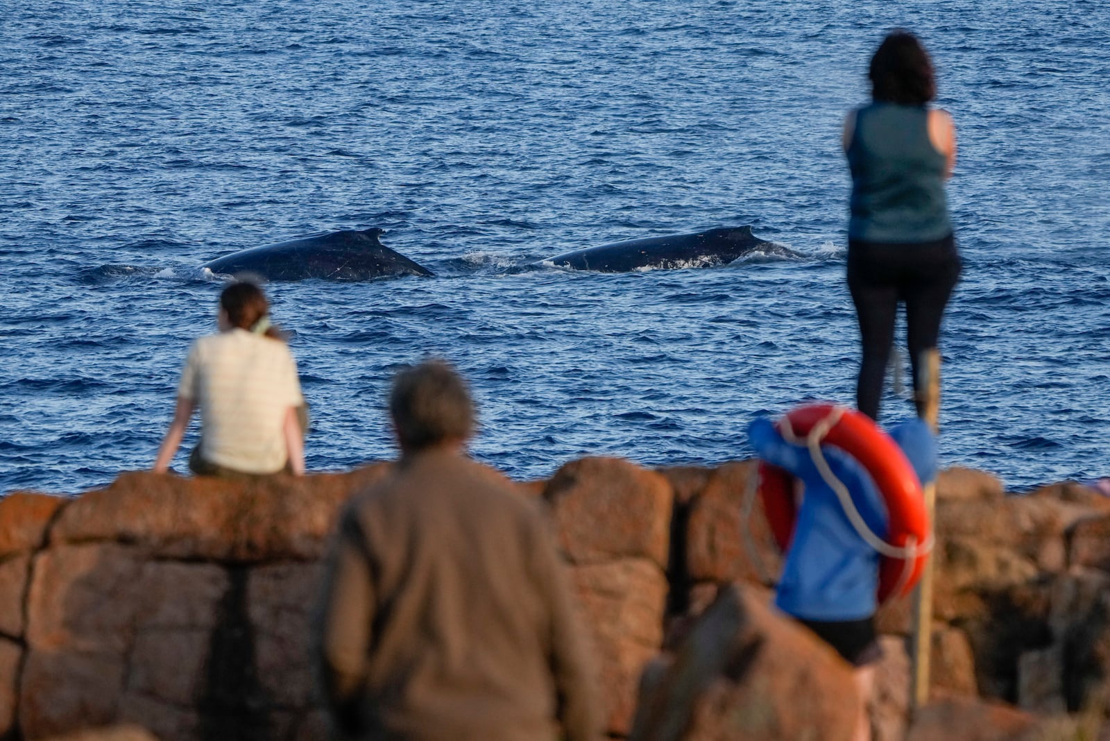 FILE - Spectators watch as whales swim past at Boat Harbour north of Sydney, Australia, on June 12, 2023. (AP Photo/Mark Baker, File)