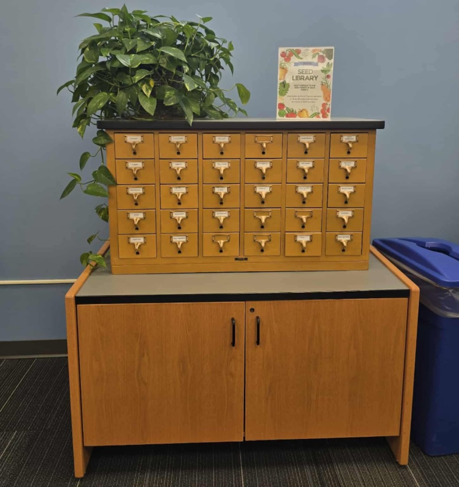 A vintage card catalog finds new life as a community seed library at the Springboro Public Library, 125 Park Lane, Springboro.  Instead of index cards, each drawer now holds packets of seeds ready to be planted, shared, and grown by local families. KENDRA BEAN/CONTRIBUTED