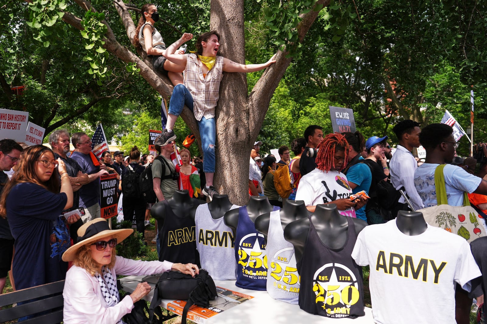 Demonstrators rally at Lafayette park during a demonstration against President Donald Trump policies in Washington, Saturday, June 14, 2025. (AP Photo/Matt Slocum)
