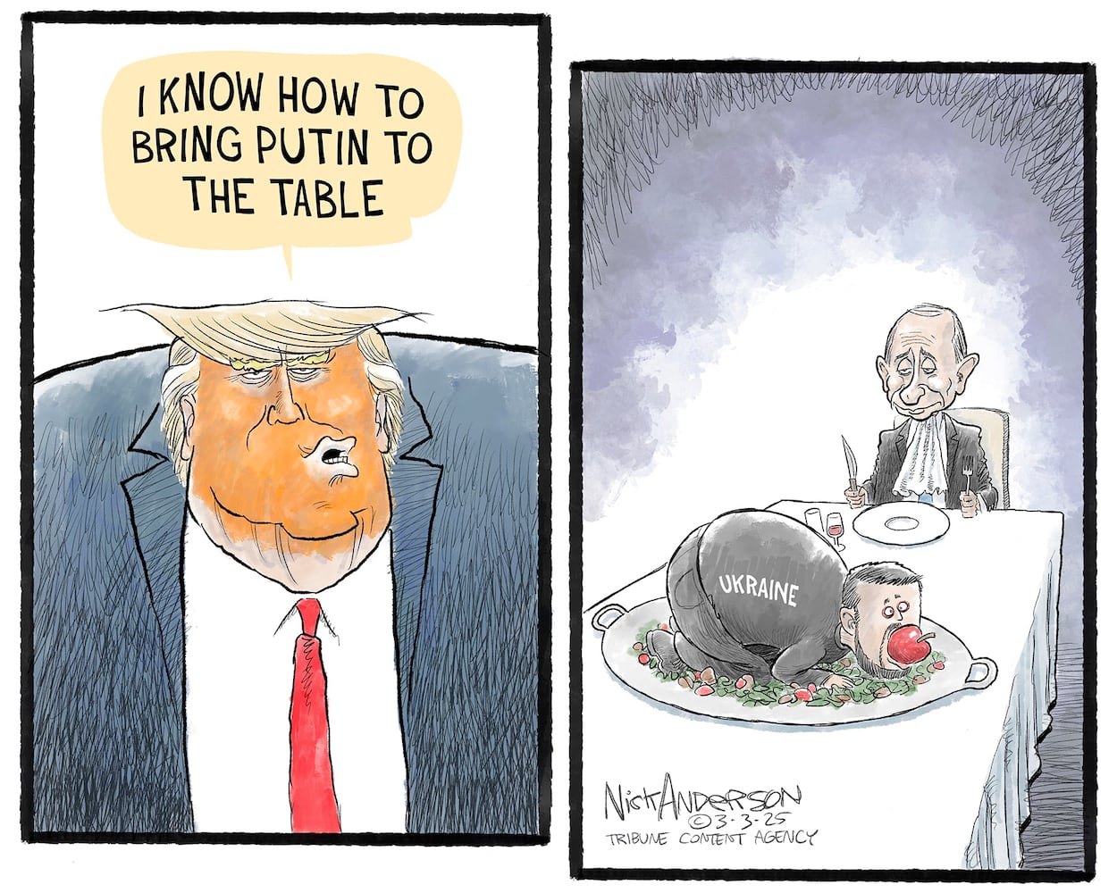CARTOONS: Nick Anderson, March 6, 2025