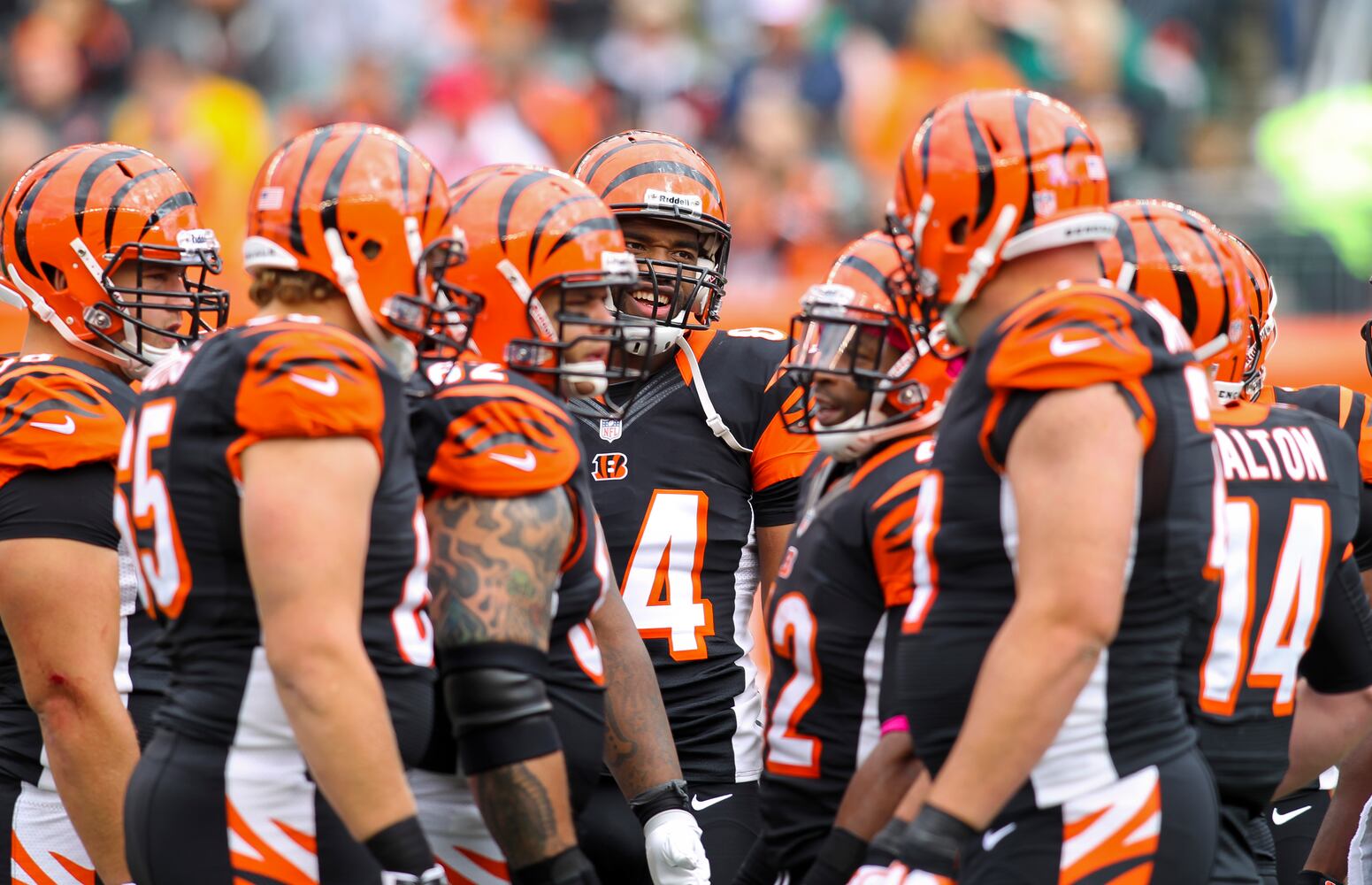 Bengals vs. Dolphins