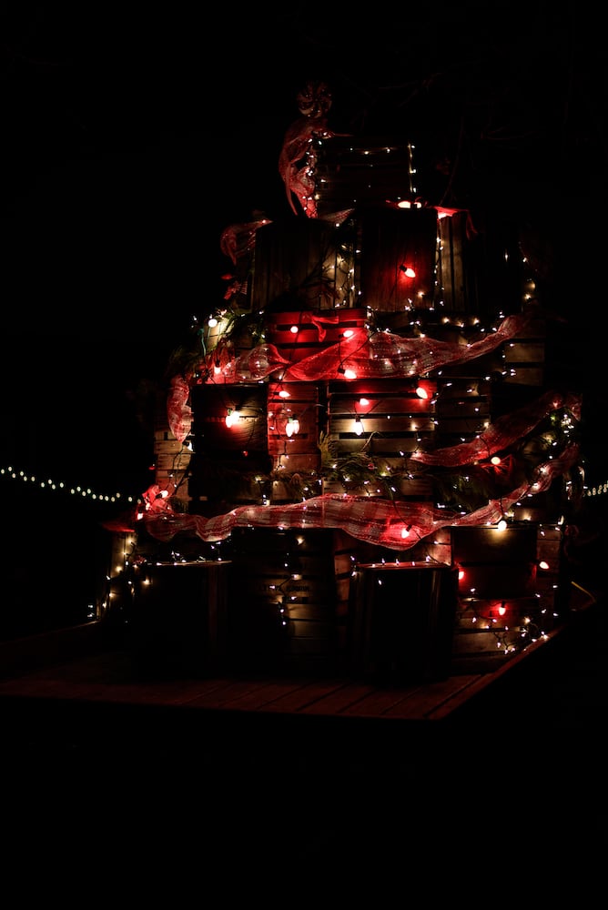 PHOTOS: Holiday Luminary Walk & Live Nativity at Hidden Valley Orchards