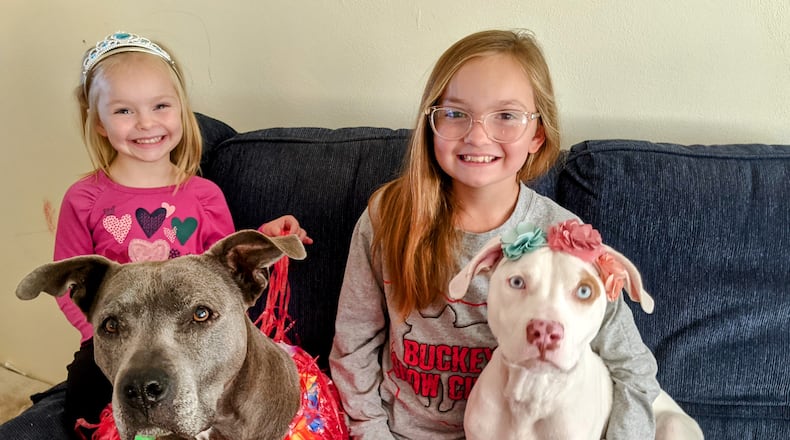 Maggie (dog) bottom left, Rylee Jo (daughter) behind Maggie. Angel (dog) bottom right, Emma (daughter) behind Angel ready for a fashion show. CONTRIBUTED