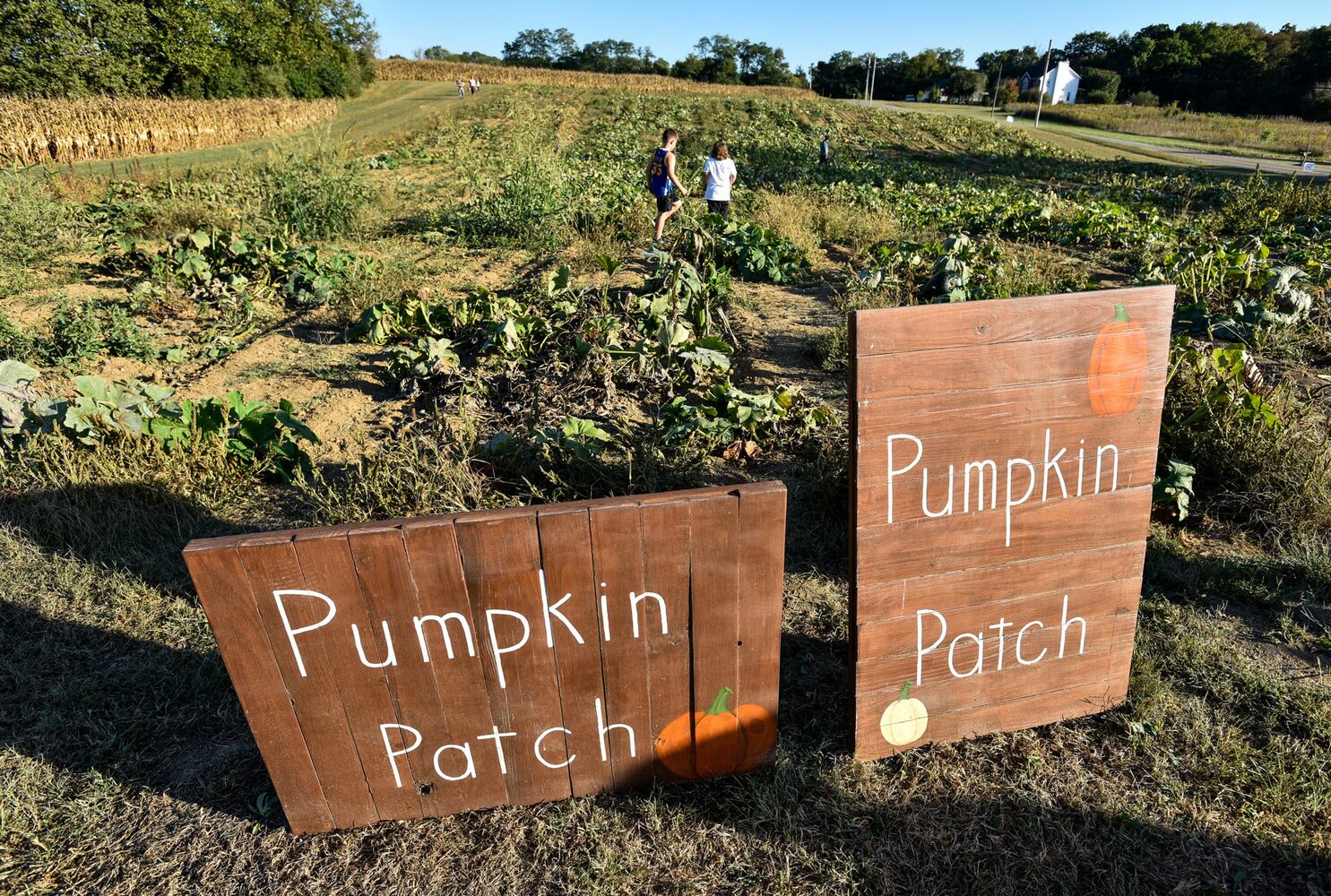 Jackson Family Farm offers visitors a chance to learn about farm life