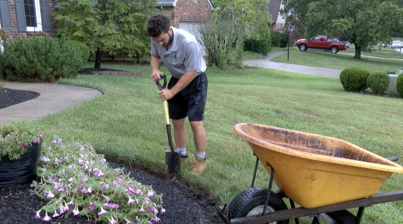Marc Gendreau, owner of Marc the Shark Landscaping on Cincinnati's East Side, works in a client's garden, Aug. 25, 2021. TAYLOR NIMMO / CONTRIBUTED