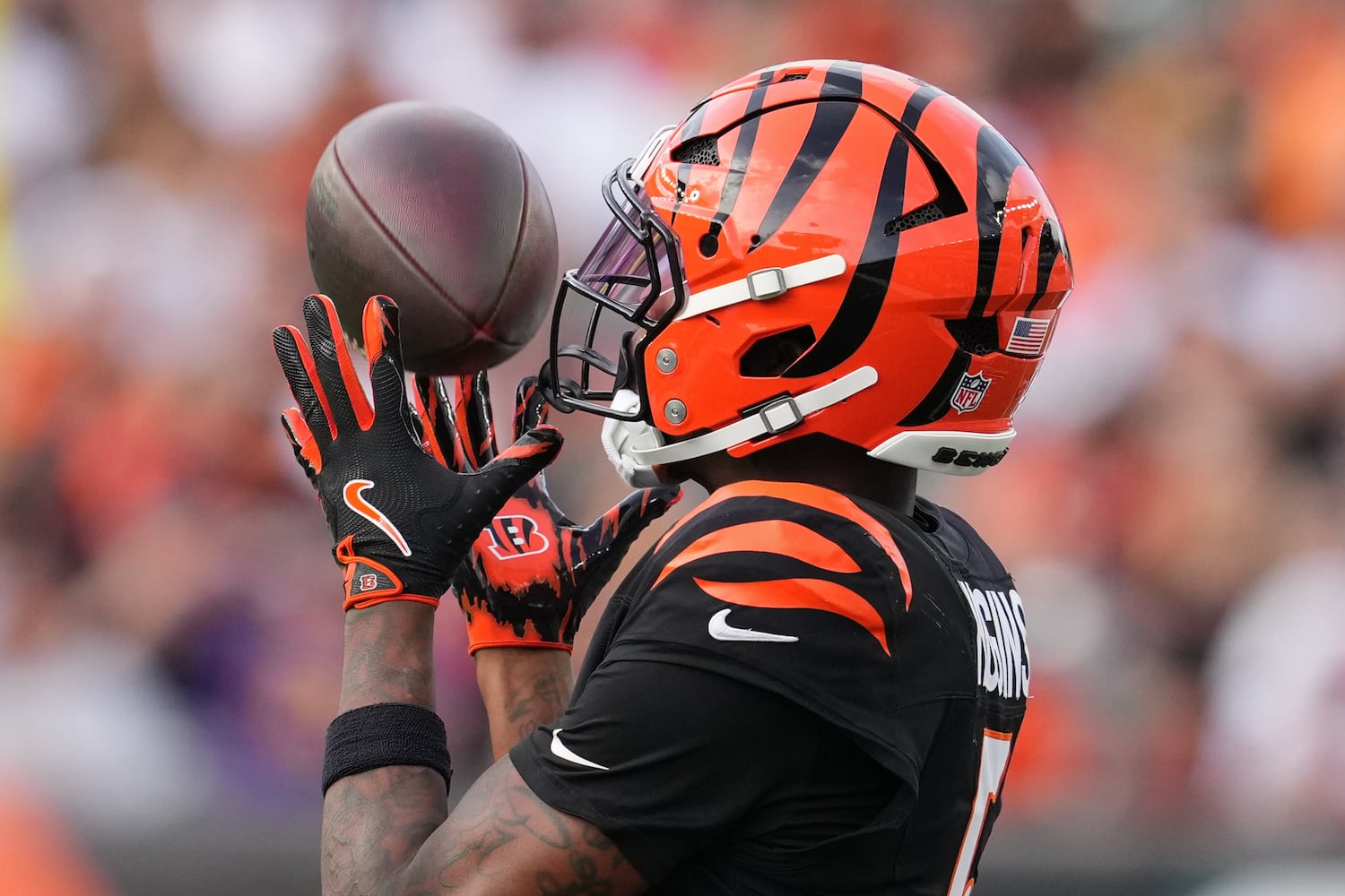 Cardinals Bengals Football