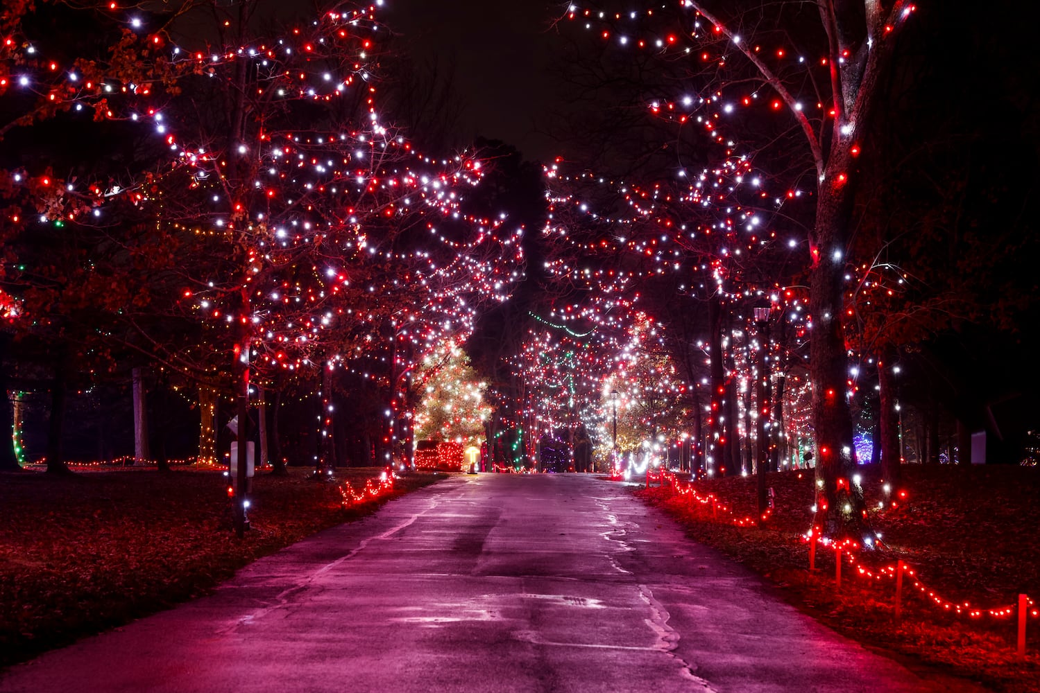 111622 Pyramid Hill lights