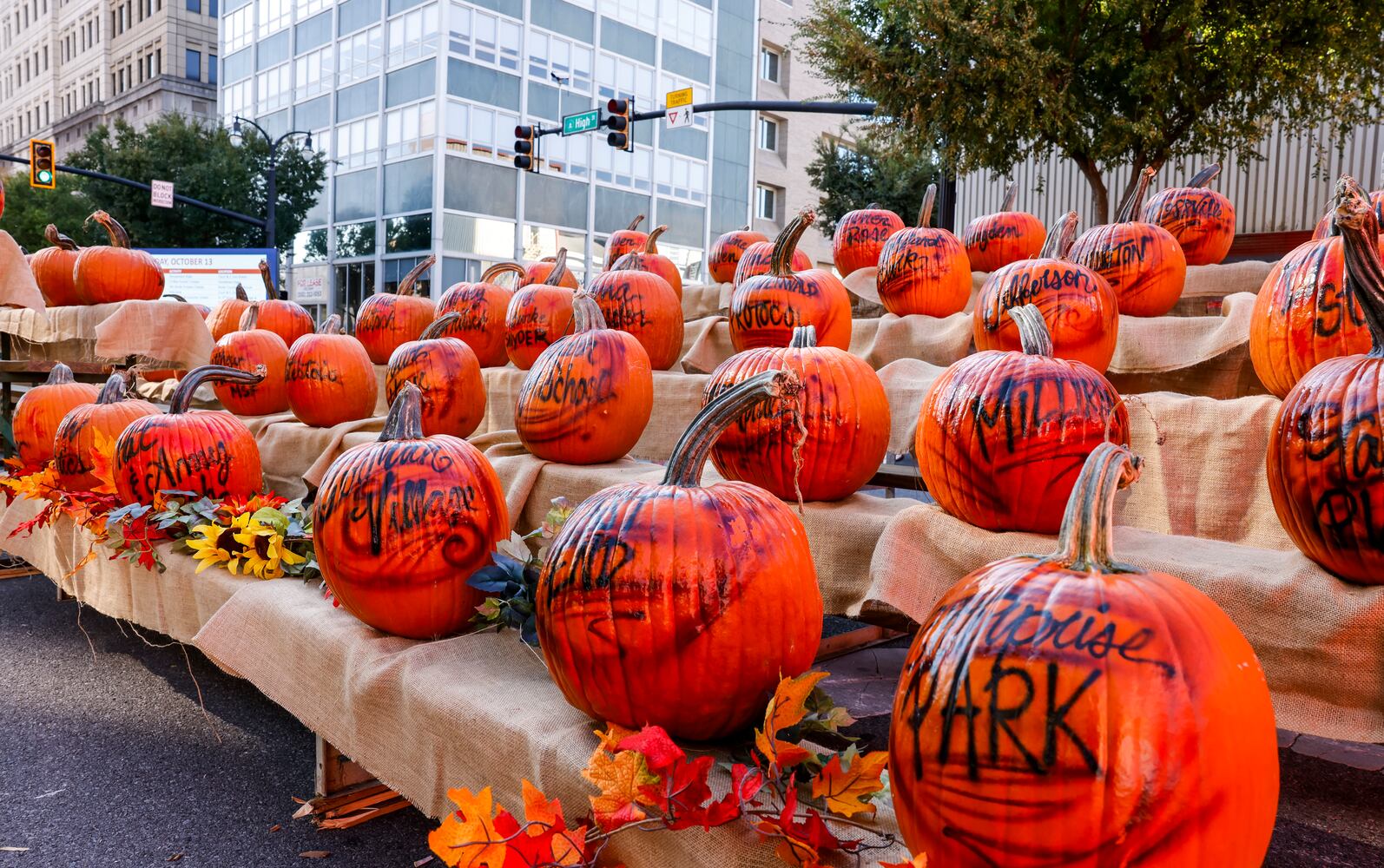 101124 Operation Pumpkin