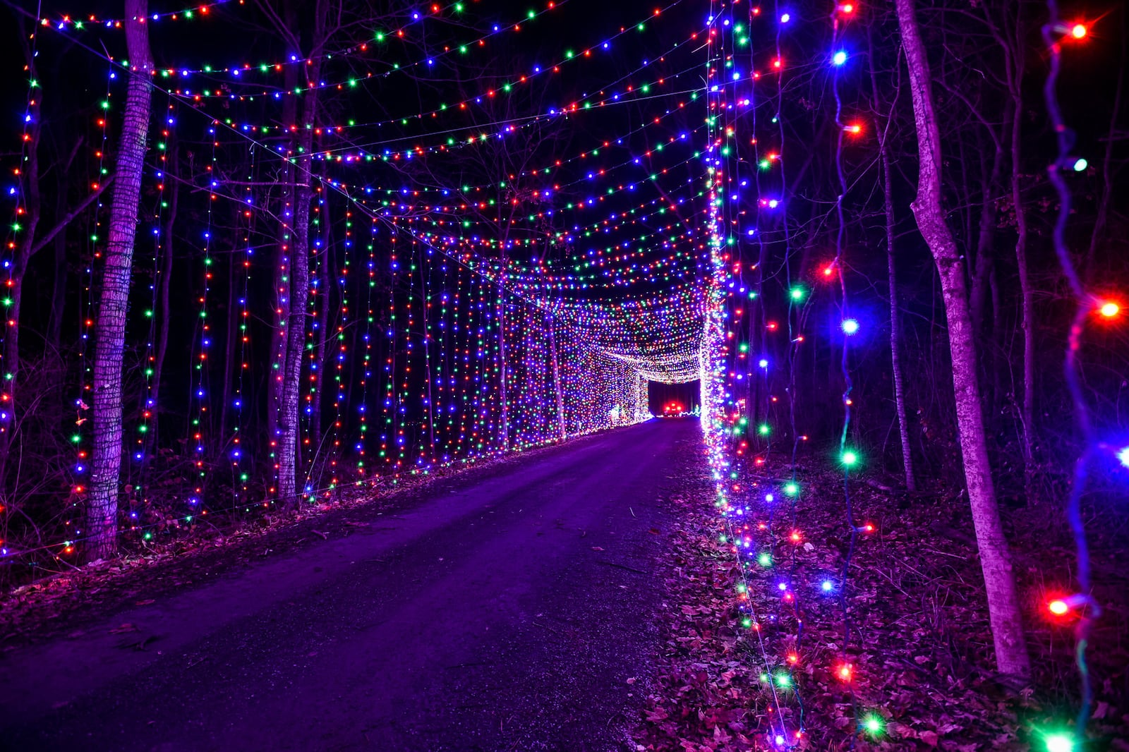 Land of Illusion’s Christmas Glow features a two-mile drive-thru experience with 3.8 million lights. NICK GRAHAM/STAFF
