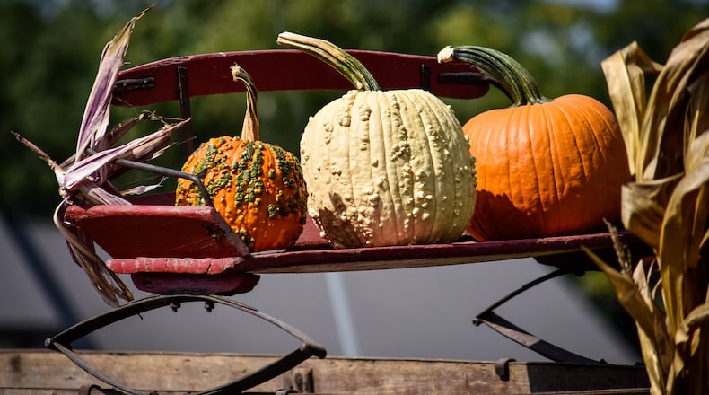 Fall on the Farm at Jackson Family Farm ends this weekend with its final days being 11 a.m. to 6 p.m. Saturday and noon to 5 p.m. Sunday. Located on West Alexandria Road in Madison Twp. The educational farm experience features pedal tractors, pumpkin patch, farm animals, corn maze, hay tower, hayride to the cattle field, pumpkin jump pad and more. More information is online at facebook.com/jacksonfamilyfarmmadison. NICK GRAHAM/FILE